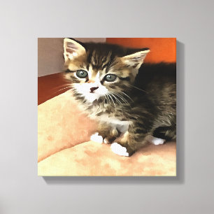Toile Tabby Cat Kitten Portrait pour animaux