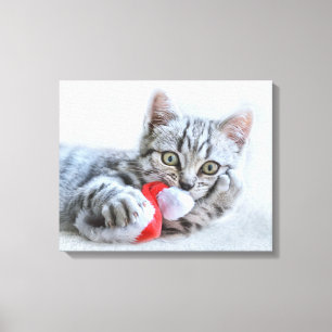 Toile Tabby gris mou Chat avec Noël Casquette