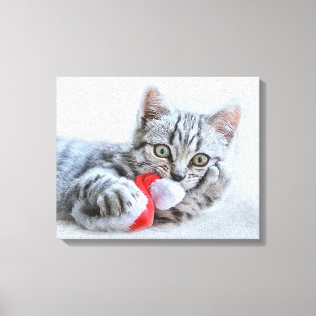 Toile Tabby gris mou Chat avec Noël Casquette (Recto)