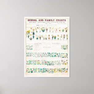 Toile Tableau botanique vintage : Classification des Pla