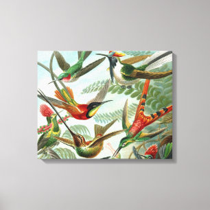 Toile tableau classique de la faune des oiseaux colibris