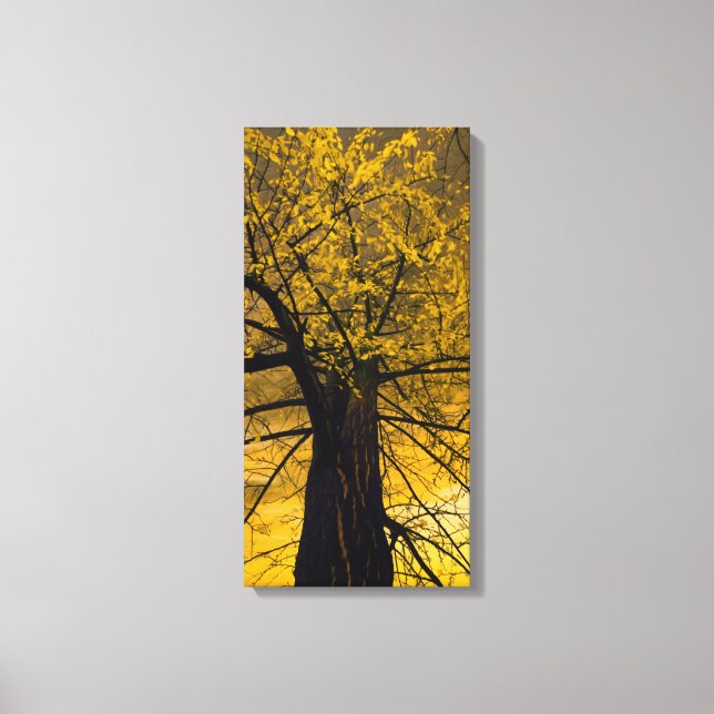 Toile Tableau de l'arbre jaune (Recto)