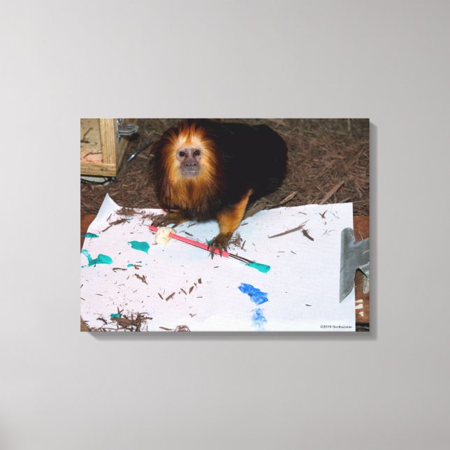 Toile Tableau de Lion Tamarin à tête dorée (Recto)