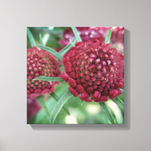 Toile Tableaux Fleurs Fluides Crimson Imprimer
