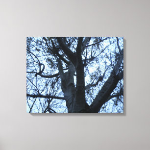 Toile Tableaux photographiques Silhouette Arbre