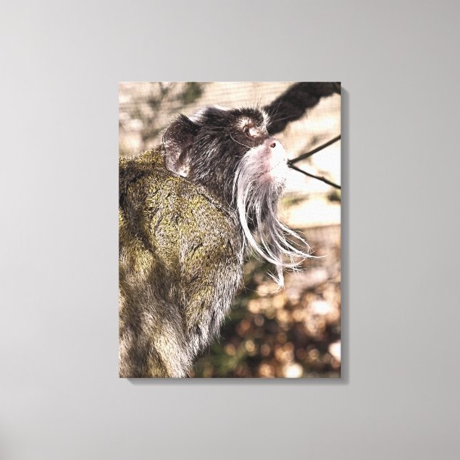 TOILE TAMARIN MONKEY (Recto)