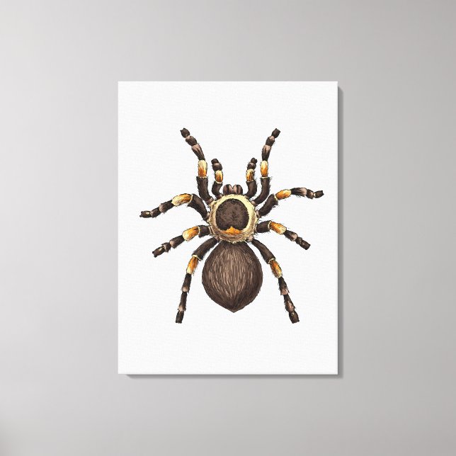 Toile Tarantule (Recto)