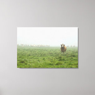 Toile Taureau Simmental dans Foggy Green Pasture