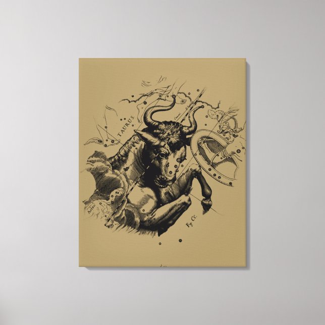 Toile Taurus Constellation Hevelius 1690 Engraving (Recto)