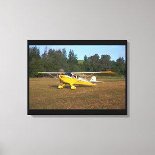 Toile Taylorcraft, BC-12, 1941_Aviation classique