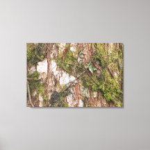 TELA CANVAS QUADRO DECORAÇÃO NATUREZA ÁRVORE NOVO