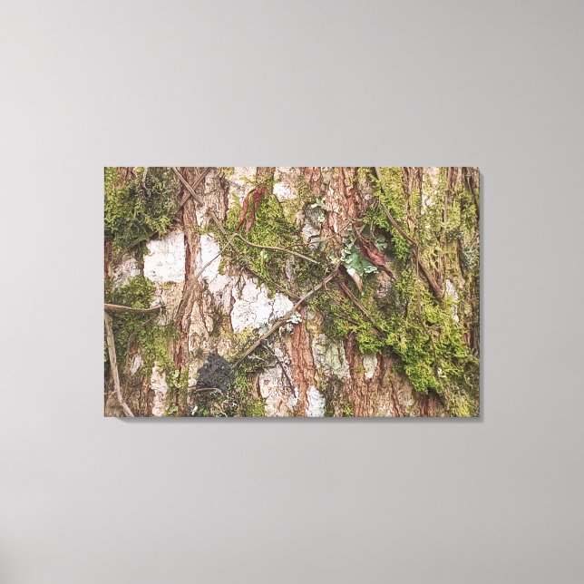 TOILE TELA CANVAS QUADRO DECORAÇÃO NATUREZA ÁRVORE NOVO  (Recto)