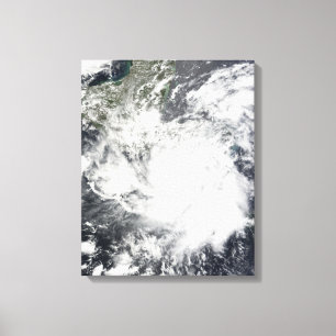 Toile Tempête tropicale Alma