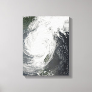 Toile Tempête tropicale Parm
