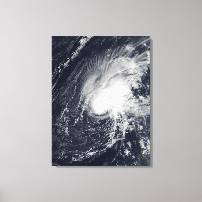 Toile Tempête tropicale Zeta (Recto)
