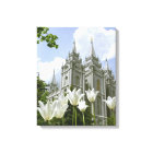 Temple LDS de Salt Lake City