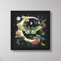 Toile tendue -  Papillon de nuit
