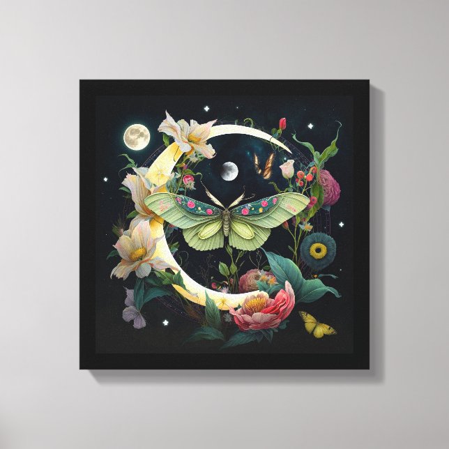 Toile tendue -  Papillon de nuit (Recto)