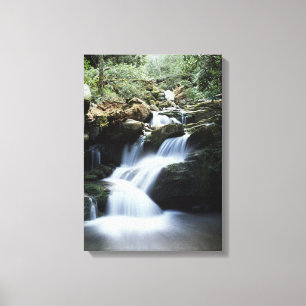 Toile Tennessee, Parc national des Great Smoky Mountains