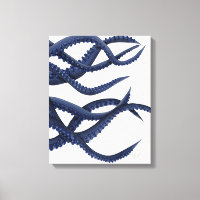 Tentacles géants de pieuvre