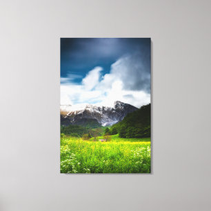 Toile Terrain de fleurs de printemps sous la montagne Kr