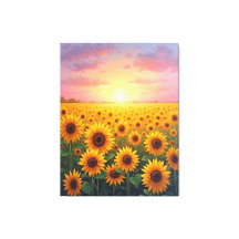 Terrain de tournesol