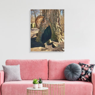 Toile The Curious Hollow 16x20 se traduit en