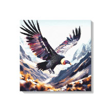 the Ecuadorian condor flying