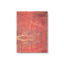 The Sun Stretched Canvas Print