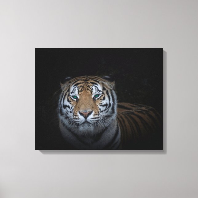 Toile Tiger (Recto)