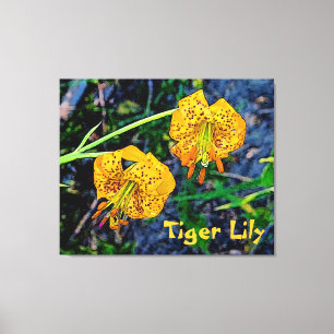 Toile Tiger Lily