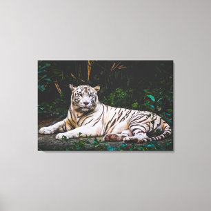 Toile Tigre