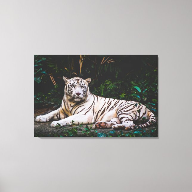 Toile Tigre (Recto)