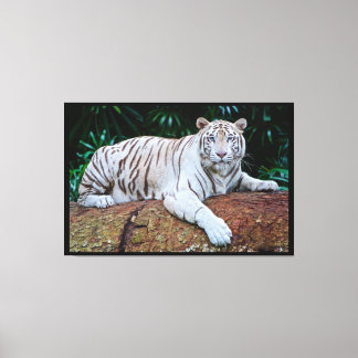 Toile Tigre blanc