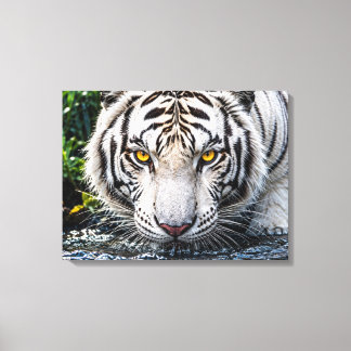 Toile Tigre Blanc Majestueux Buvant de l'Eau - Or Intens