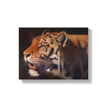 Tigre majestueux petit