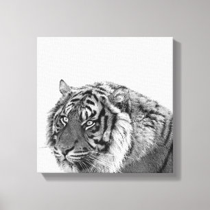 Toile Tigre photo d'animal africain noir et blanc