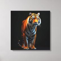 Tigre pleine taille de haute qualité sur noir|