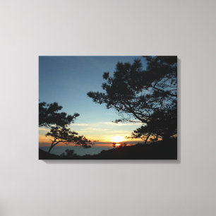 Toile Torrey Pine Sunset III Paysage californien