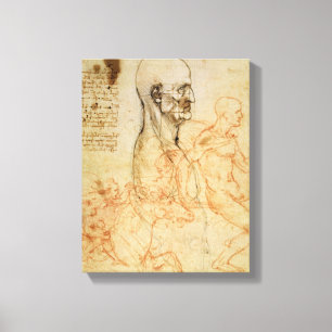 Toile Torso of a Man in Profile, the Head Squared for Pr