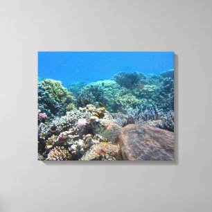 Toile Tortue Art-Mer