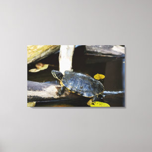 Toile Tortue de glisseur d'étang dans le sauvage