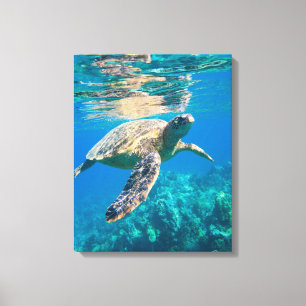 Toile Tortue de mer de natation