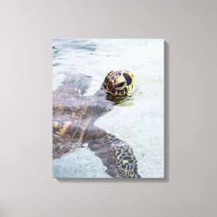 Toile Tortue de mer hawaïenne de Honu - tortues d'Hawa