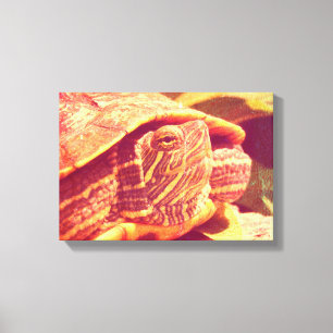 Toile Tortue rouge