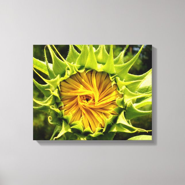 Toile Tourbillon de tournesol (Recto)