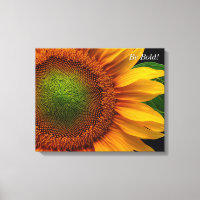 Tournesol