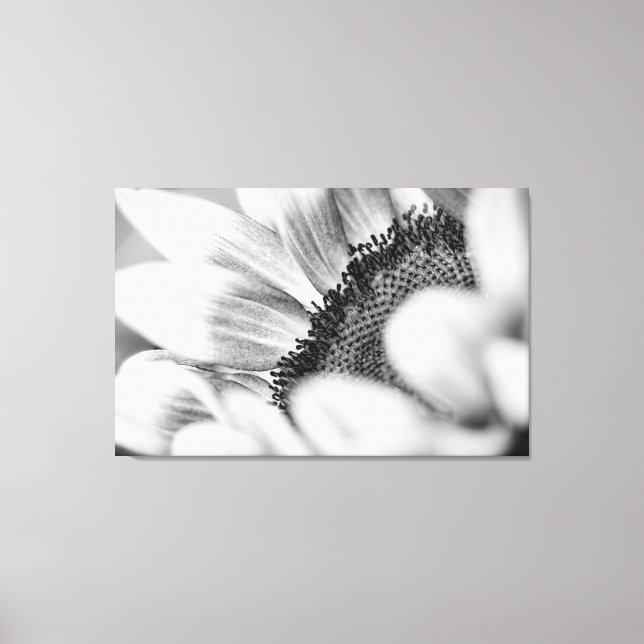 Toile Tournesol (Recto)