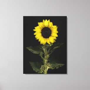 Toile Tournesol 14