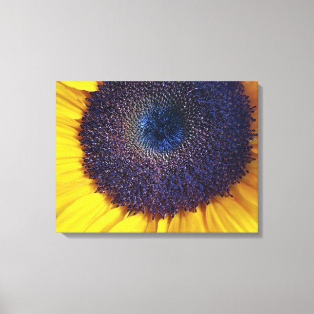 Toile Tournesol avec Centre Bleu Closeuse Art (Recto)